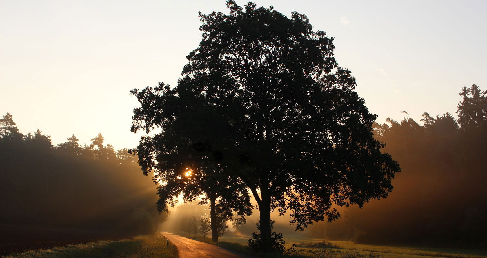 Landkulturgrenzenlos.de